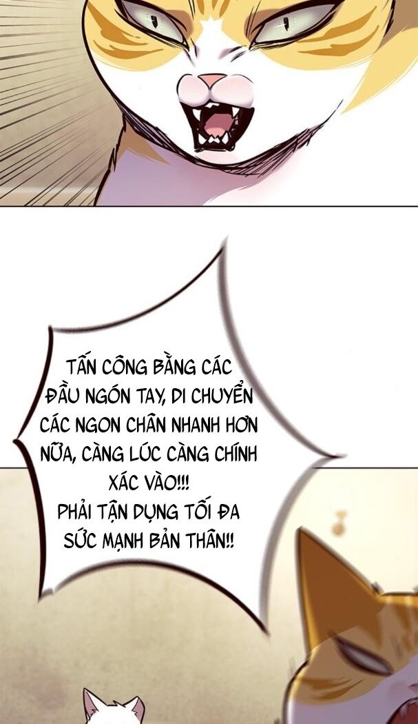 Hoá Thân Thành Mèo: Chapter 174
