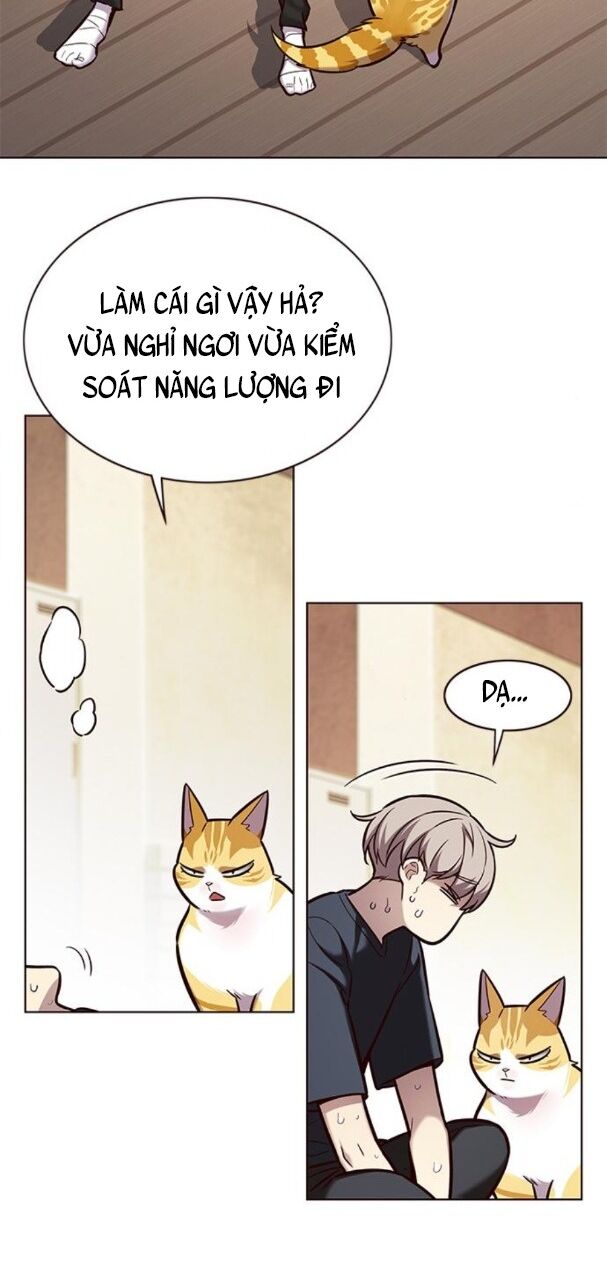 Hoá Thân Thành Mèo: Chapter 174