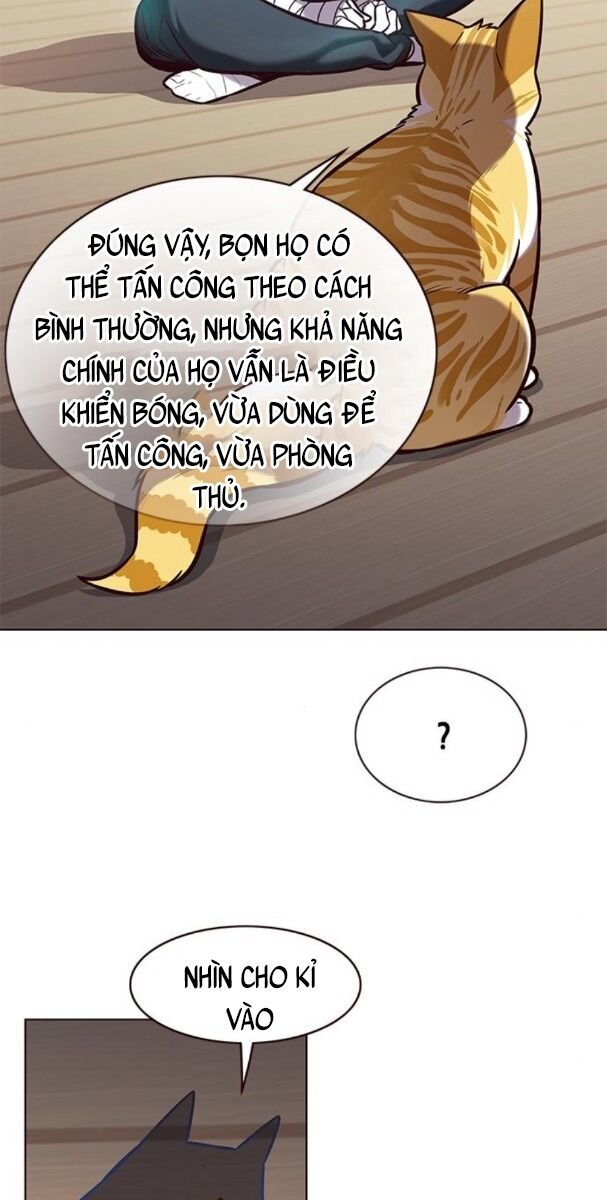 Hoá Thân Thành Mèo: Chapter 174