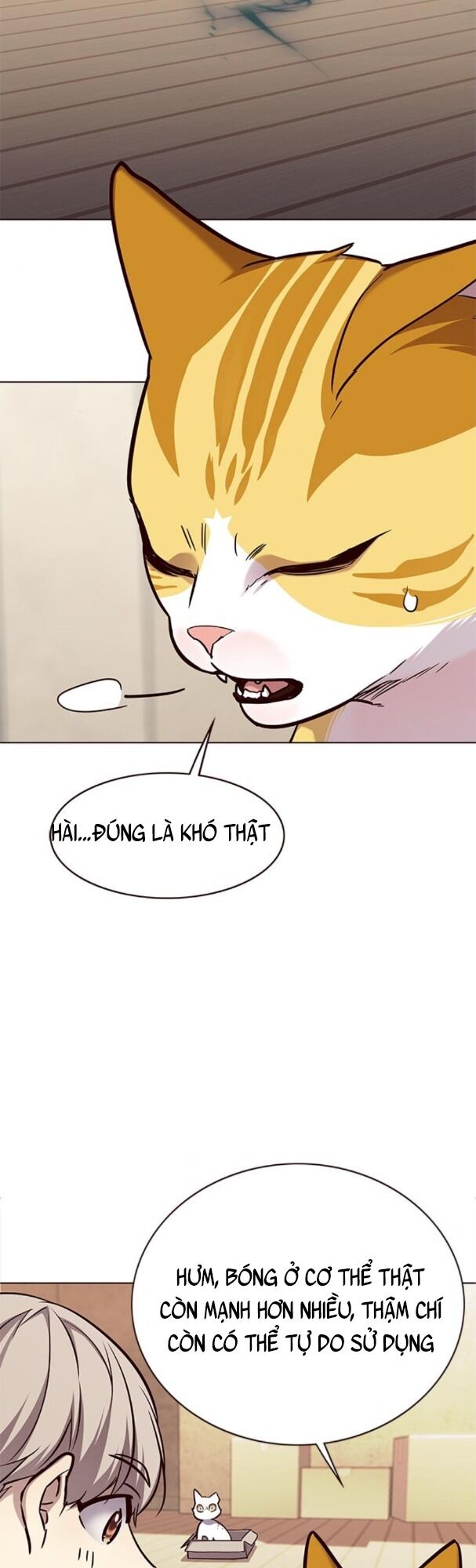 Hoá Thân Thành Mèo: Chapter 174
