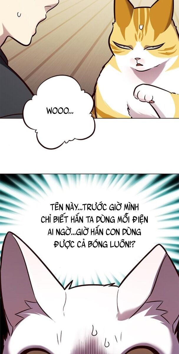 Hoá Thân Thành Mèo: Chapter 174