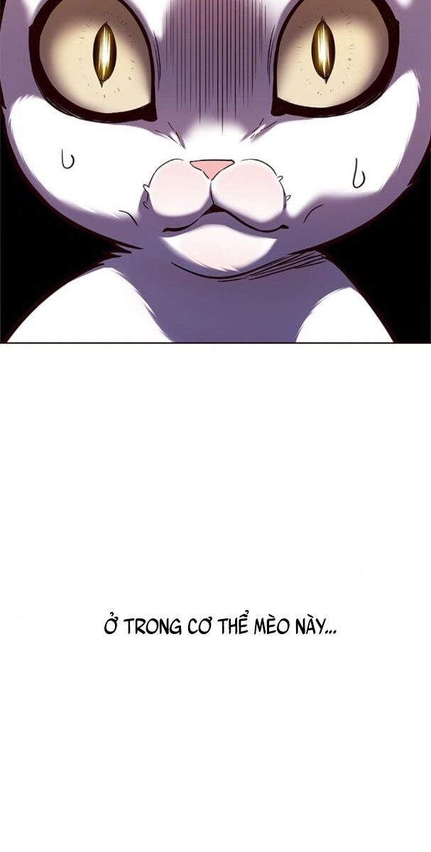 Hoá Thân Thành Mèo: Chapter 174
