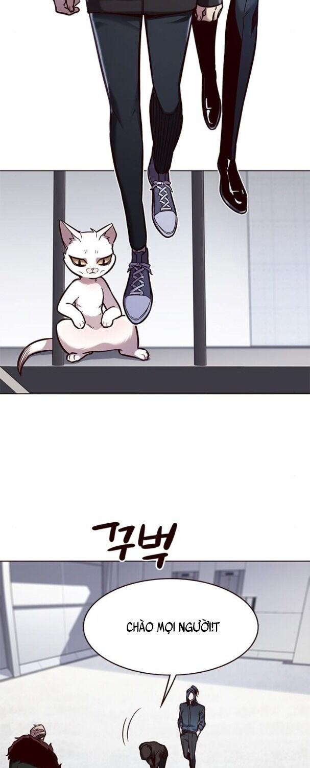 Hoá Thân Thành Mèo: Chapter 175