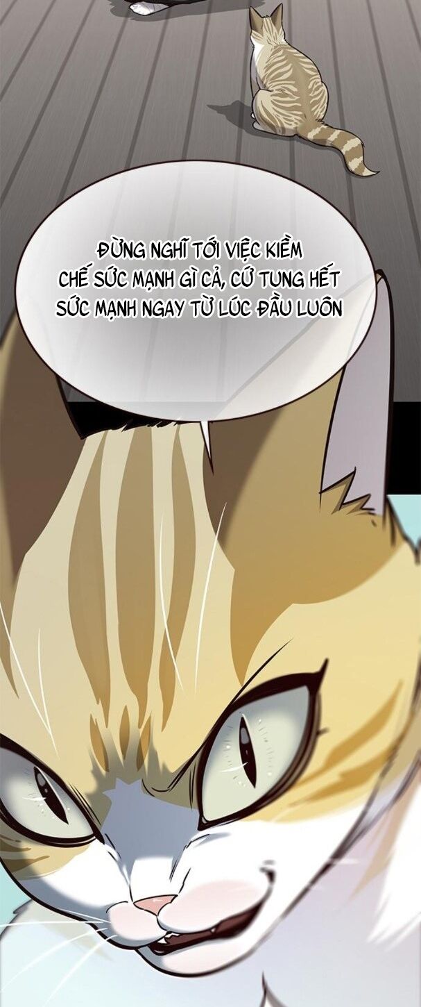 Hoá Thân Thành Mèo: Chapter 175