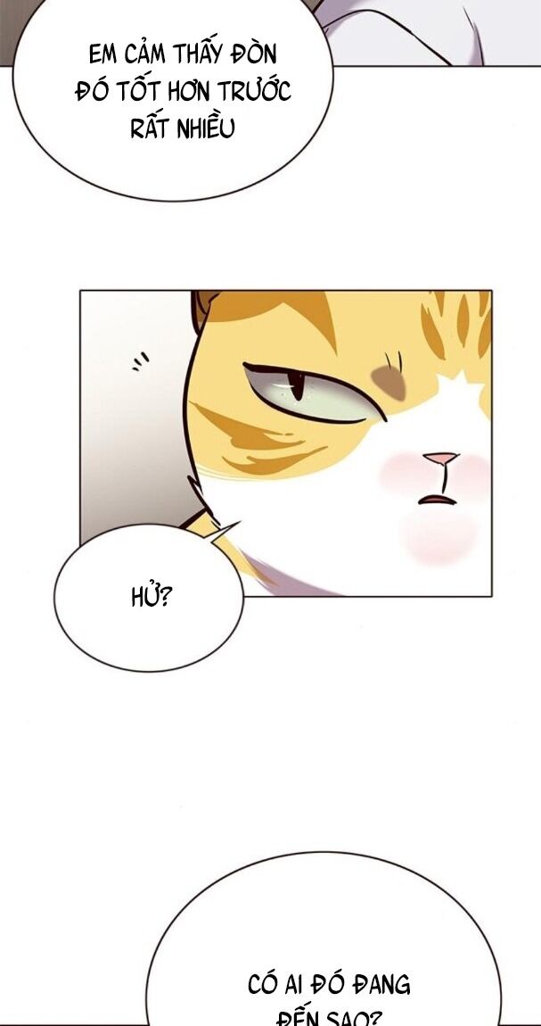 Hoá Thân Thành Mèo: Chapter 176