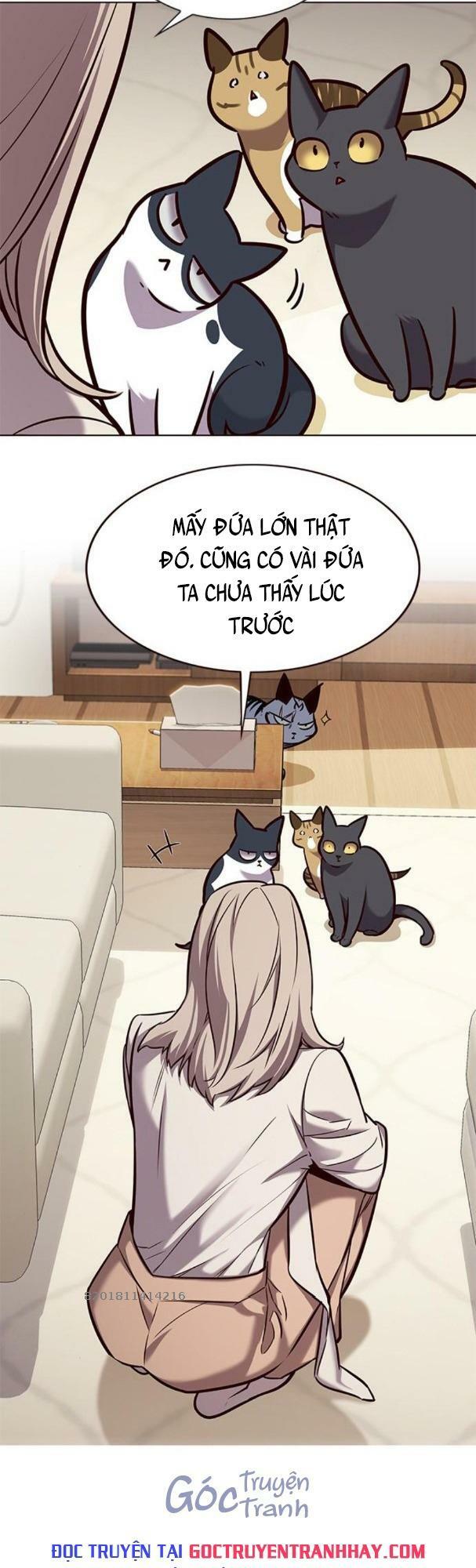 Hoá Thân Thành Mèo: Chapter 176