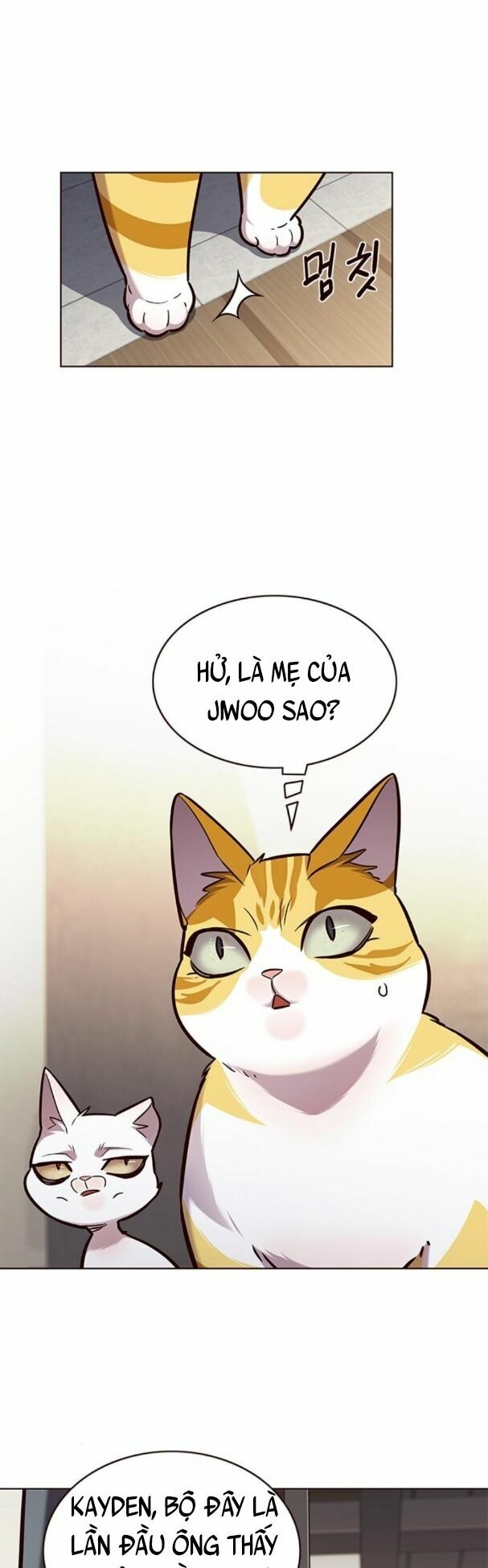 Hoá Thân Thành Mèo: Chapter 177