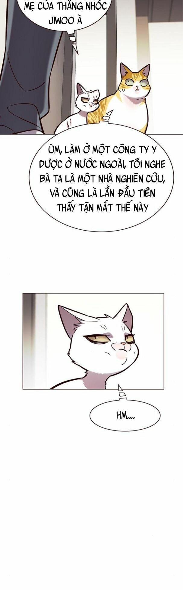 Hoá Thân Thành Mèo: Chapter 177