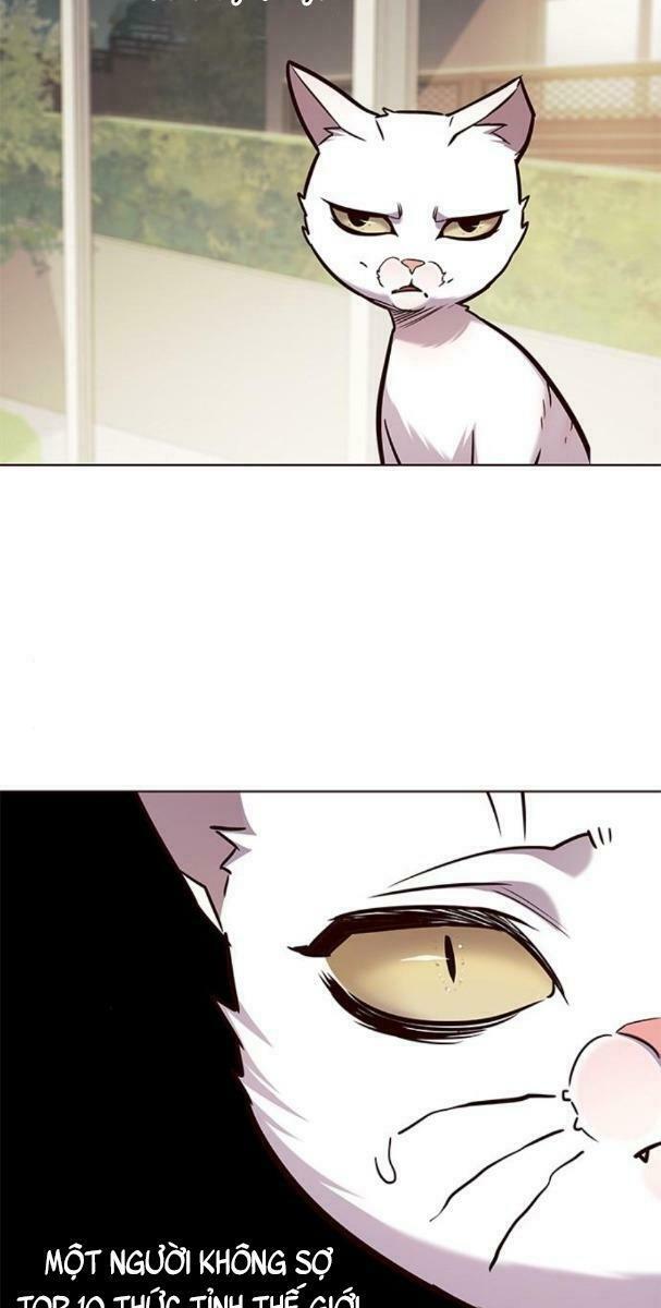 Hoá Thân Thành Mèo: Chapter 177