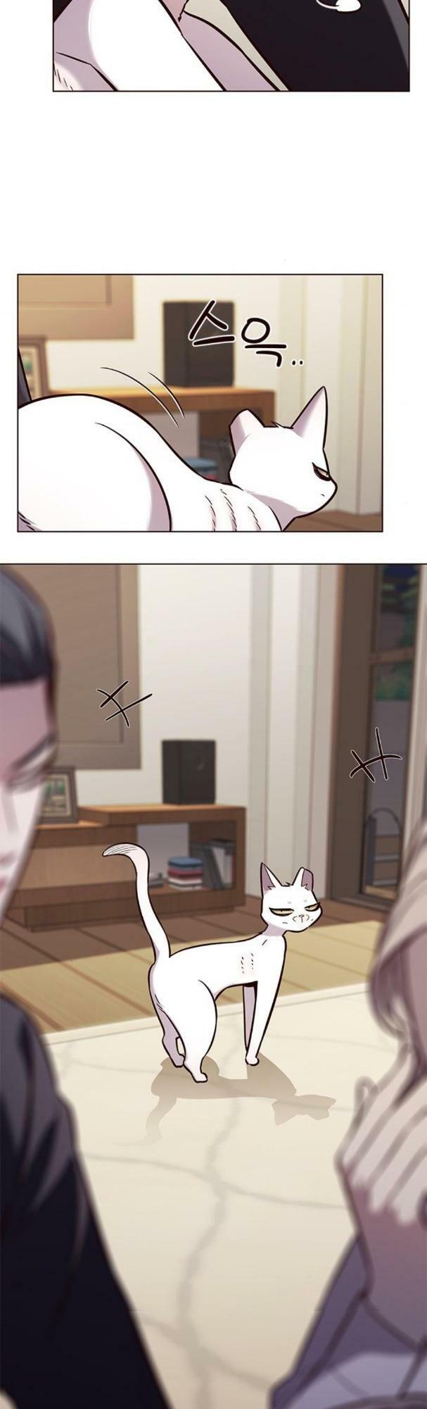 Hoá Thân Thành Mèo: Chapter 178