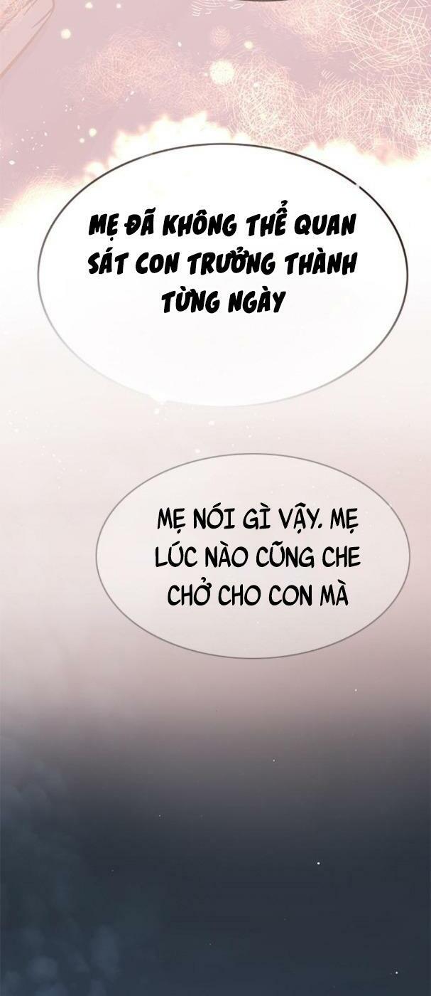 Hoá Thân Thành Mèo: Chapter 178