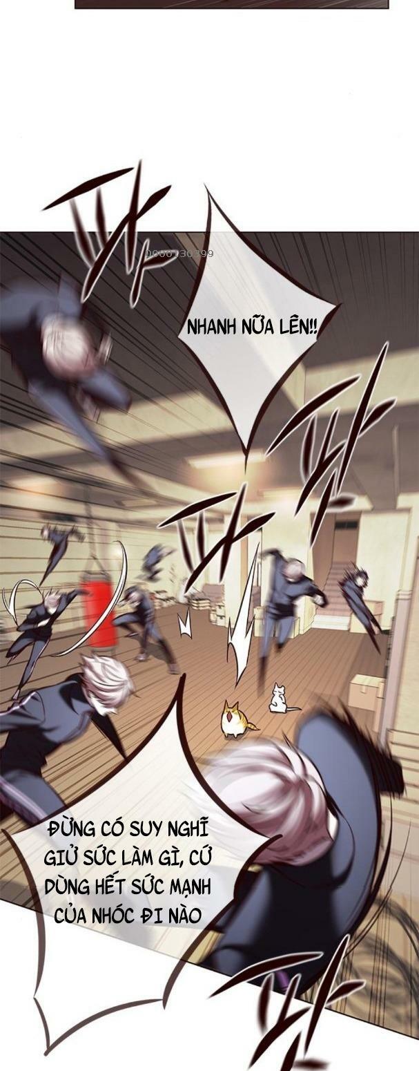 Hoá Thân Thành Mèo: Chapter 179