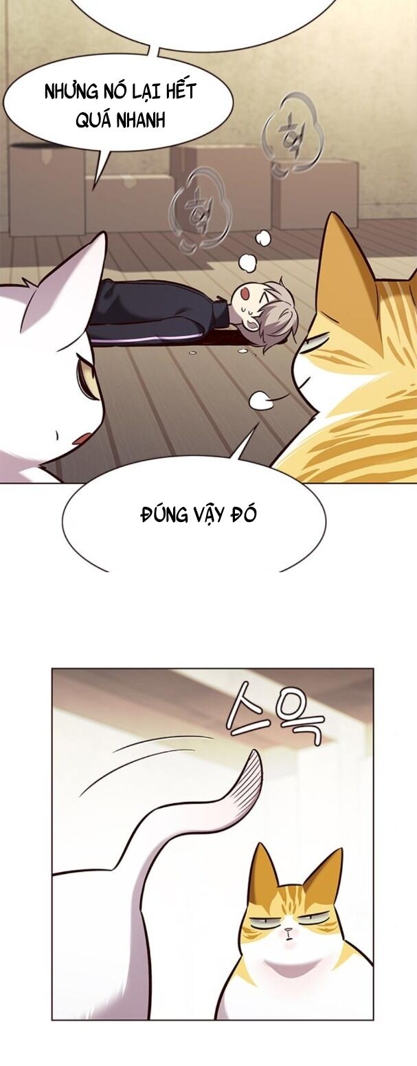 Hoá Thân Thành Mèo: Chapter 179