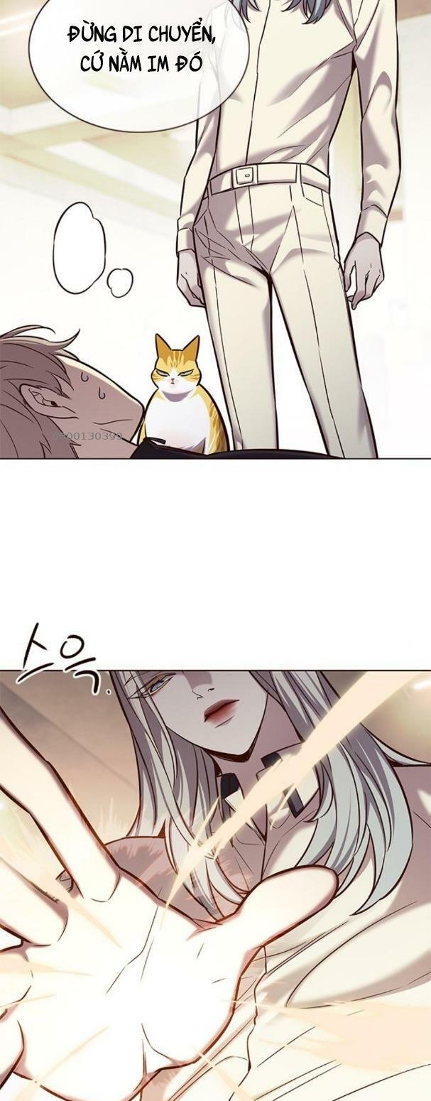 Hoá Thân Thành Mèo: Chapter 179