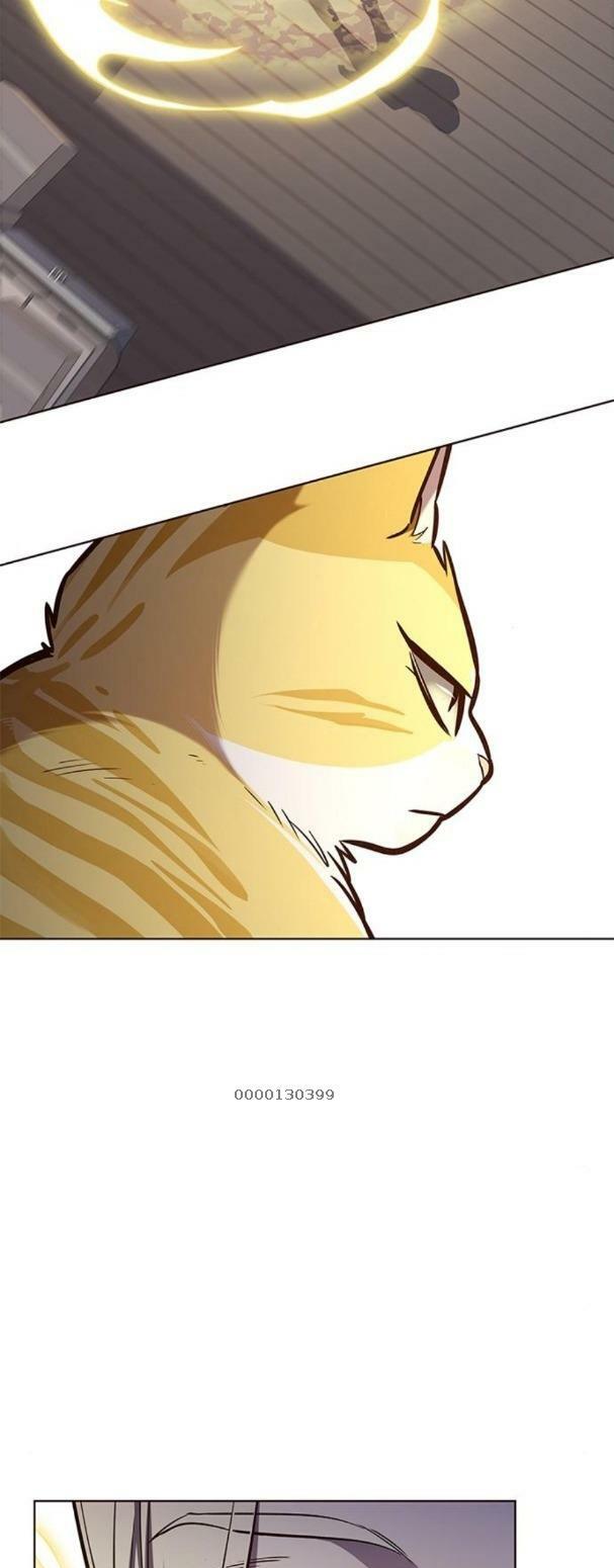 Hoá Thân Thành Mèo: Chapter 179