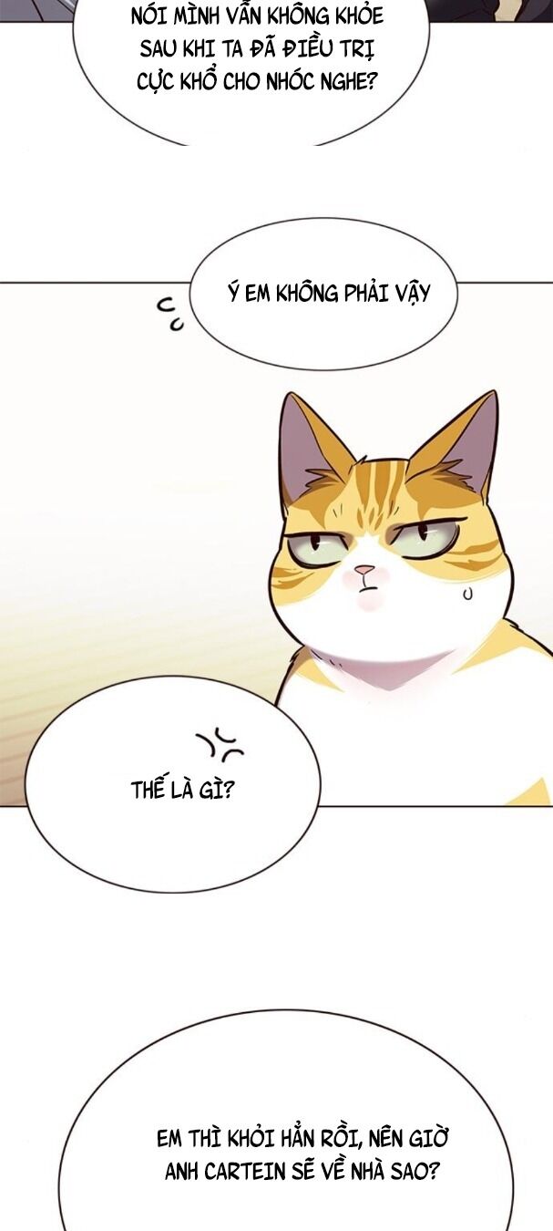 Hoá Thân Thành Mèo: Chapter 179