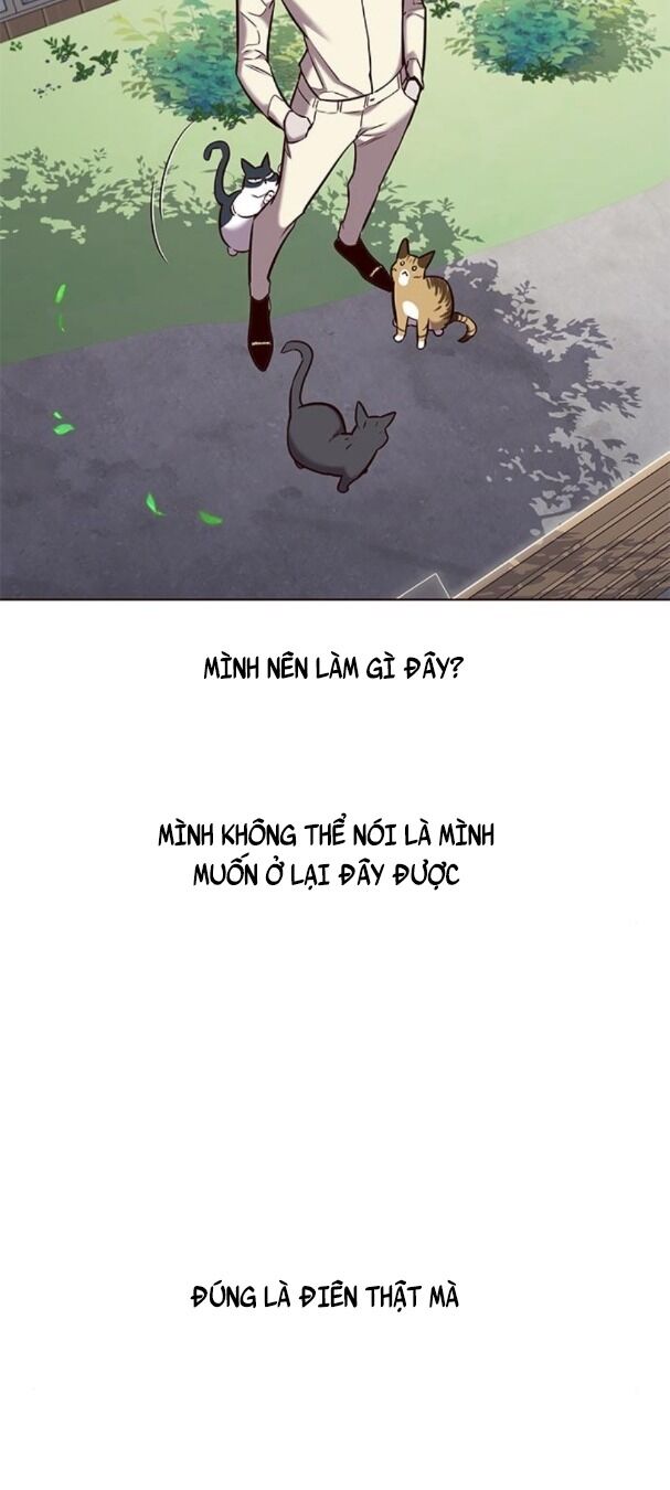 Hoá Thân Thành Mèo: Chapter 179