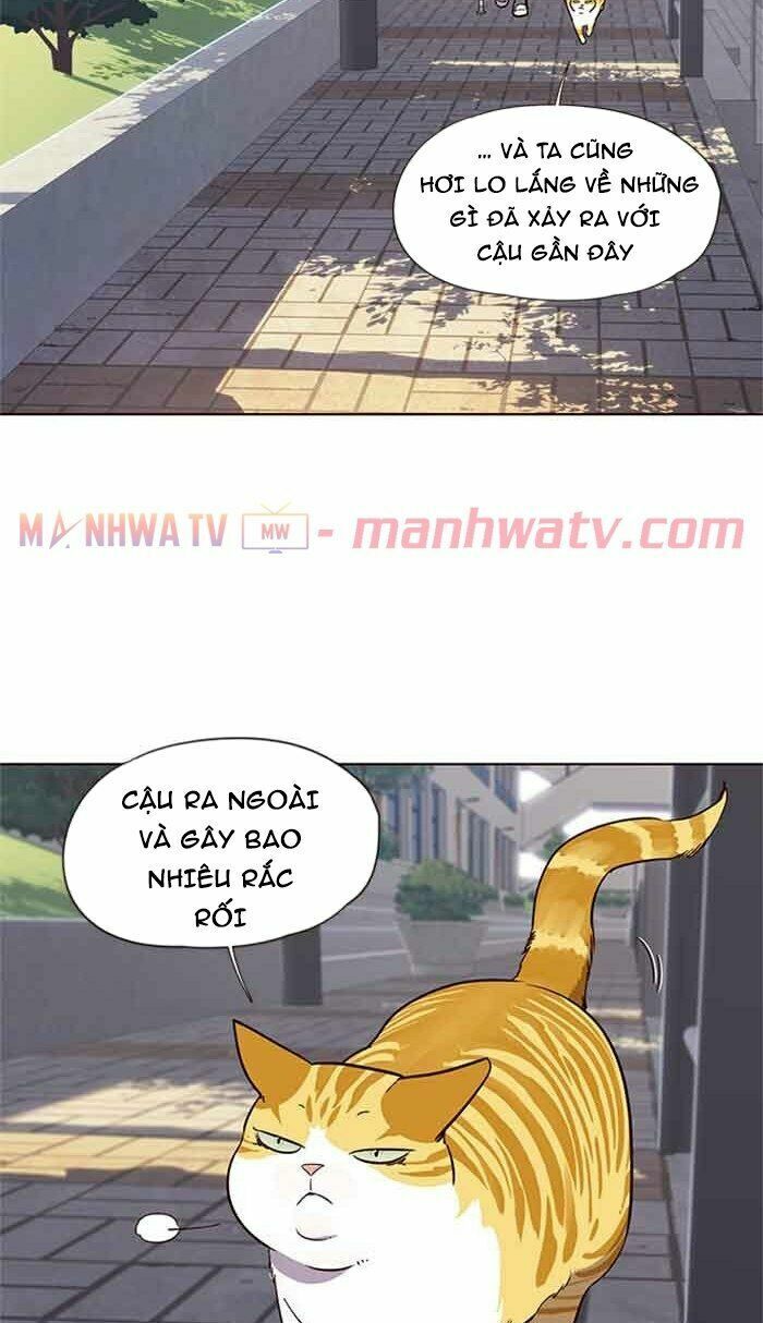 Hoá Thân Thành Mèo: Chapter 18