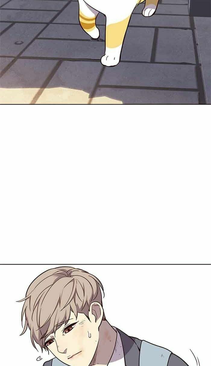Hoá Thân Thành Mèo: Chapter 18