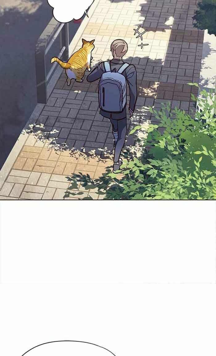 Hoá Thân Thành Mèo: Chapter 18
