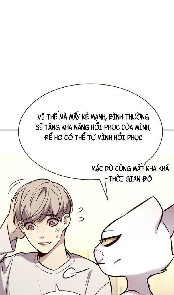 Hoá Thân Thành Mèo: Chapter 180