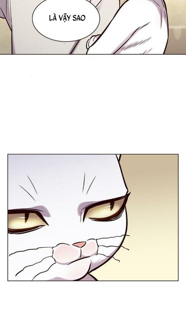 Hoá Thân Thành Mèo: Chapter 180