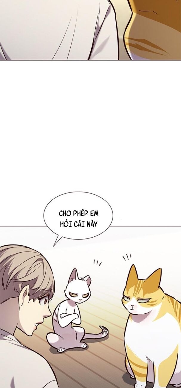 Hoá Thân Thành Mèo: Chapter 180
