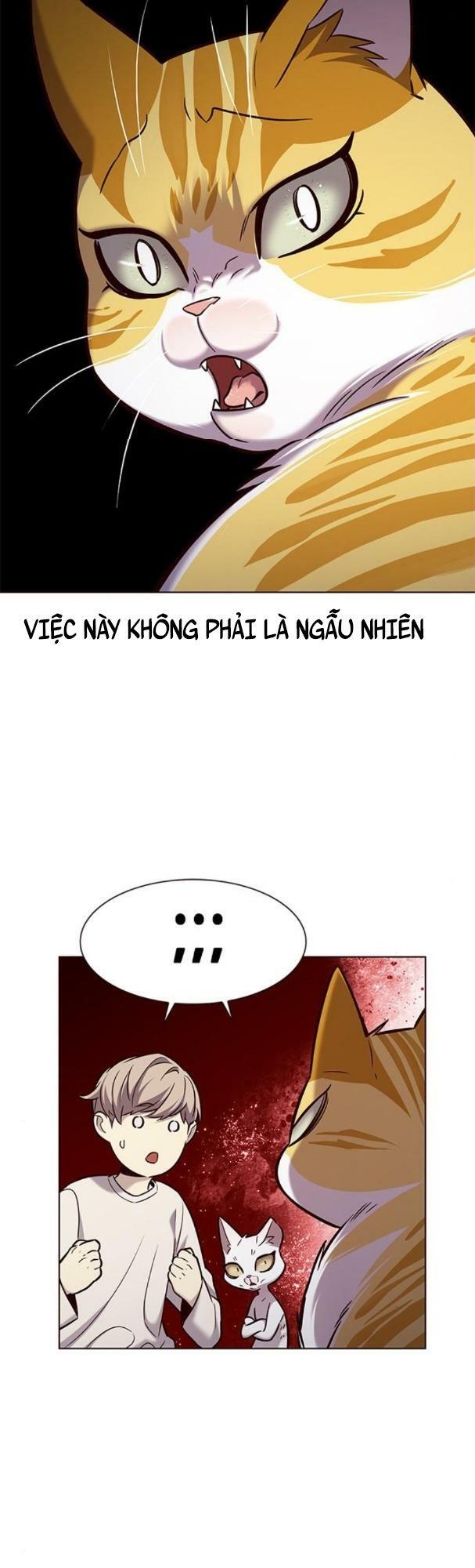 Hoá Thân Thành Mèo: Chapter 180