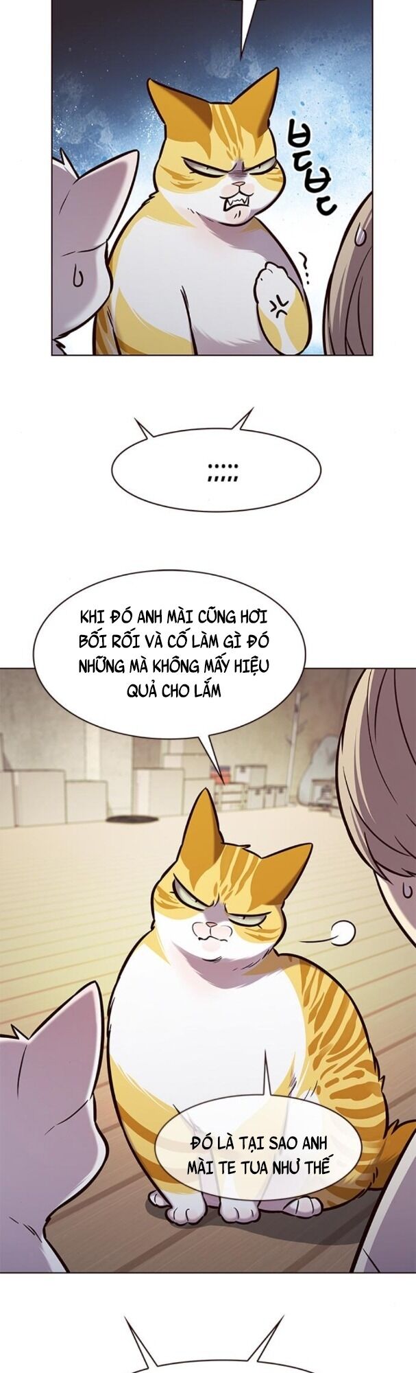 Hoá Thân Thành Mèo: Chapter 180