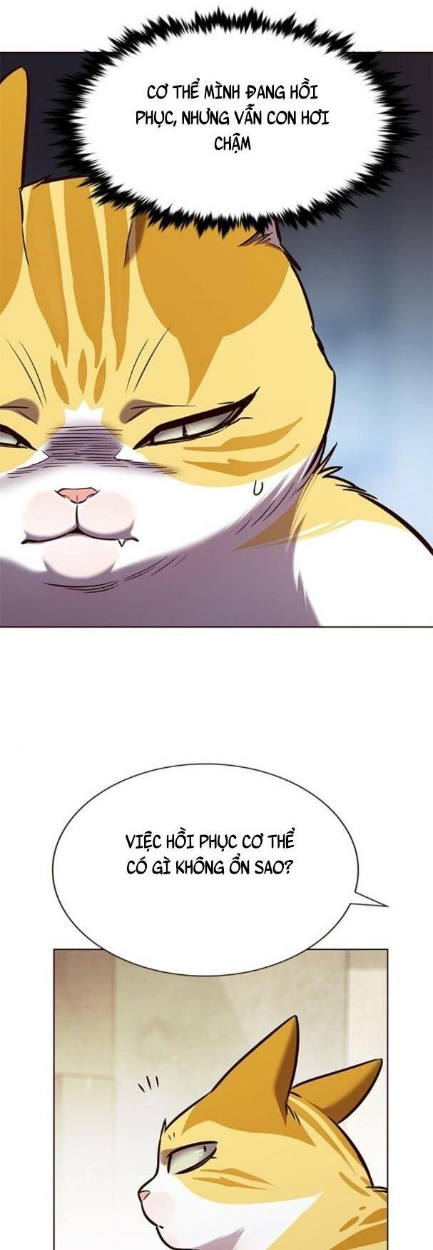 Hoá Thân Thành Mèo: Chapter 180