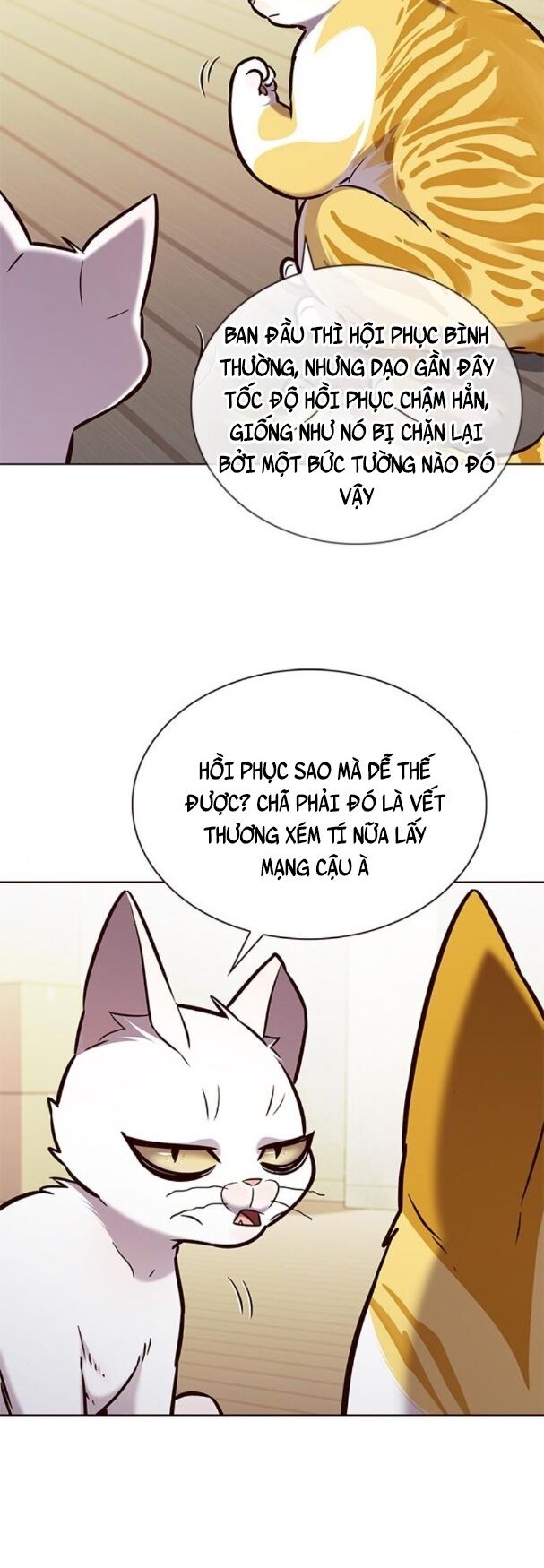 Hoá Thân Thành Mèo: Chapter 180
