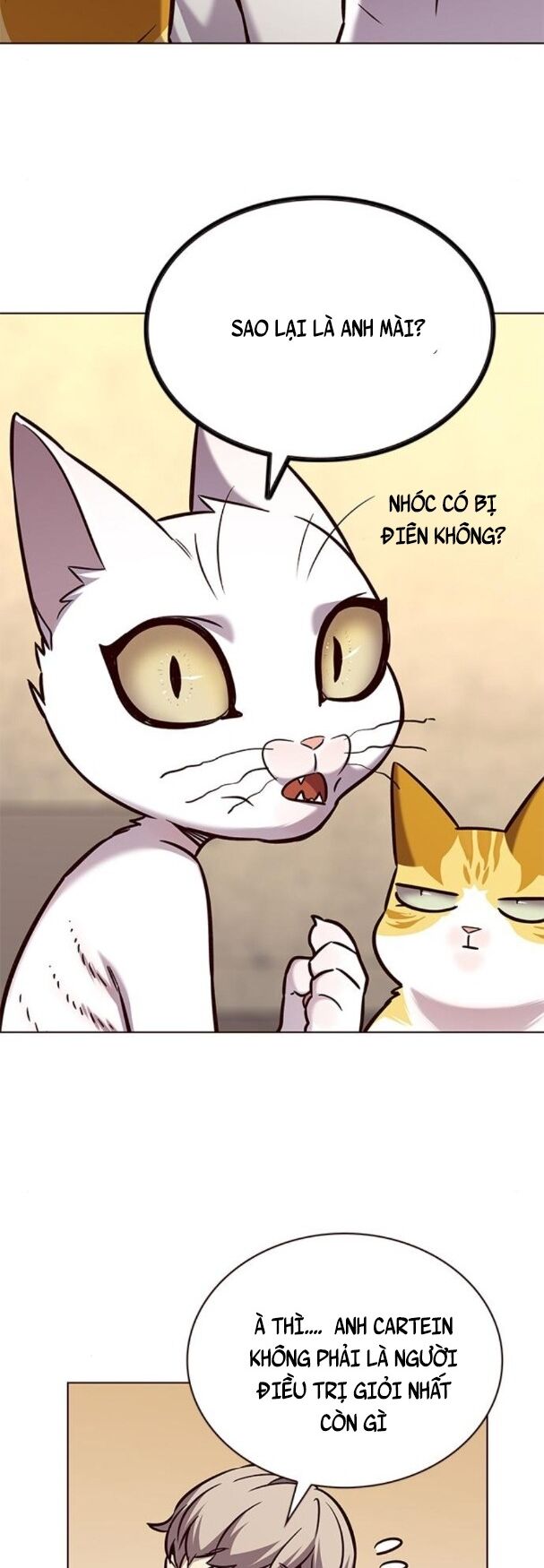 Hoá Thân Thành Mèo: Chapter 180