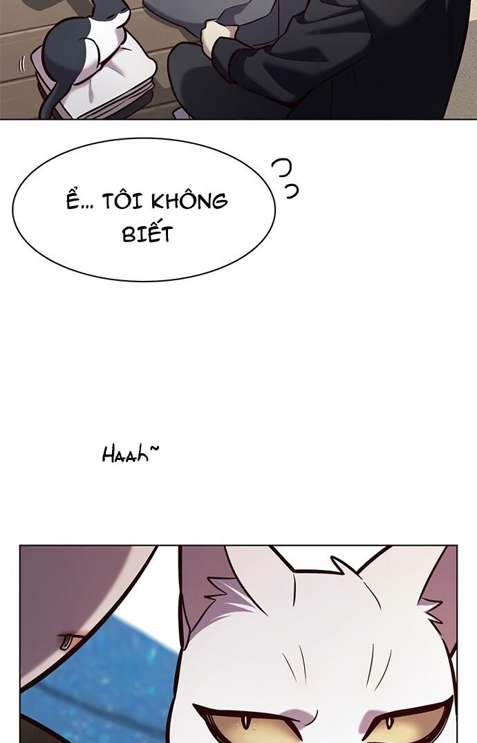 Hoá Thân Thành Mèo: Chapter 187