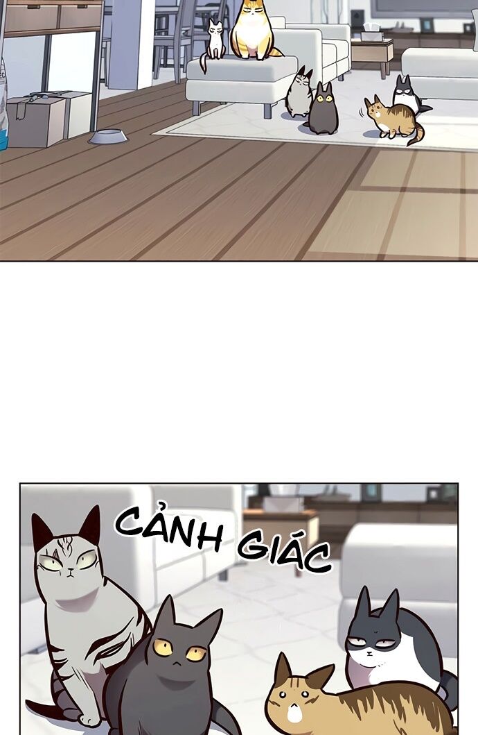 Hoá Thân Thành Mèo: Chapter 188