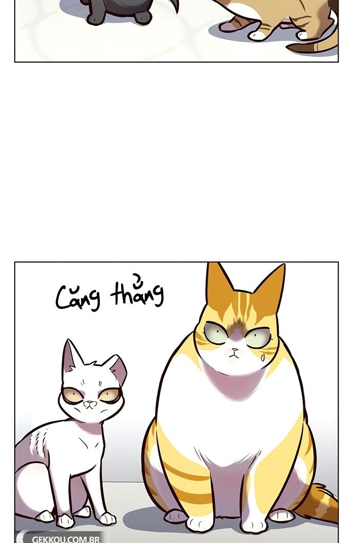 Hoá Thân Thành Mèo: Chapter 188