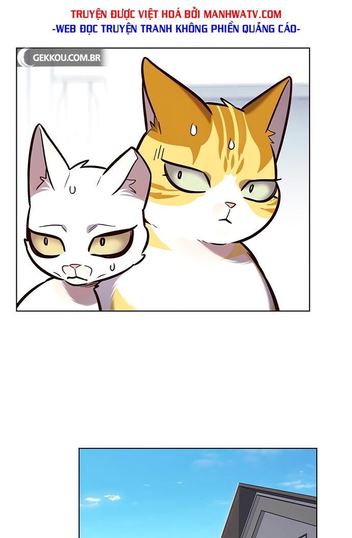 Hoá Thân Thành Mèo: Chapter 188