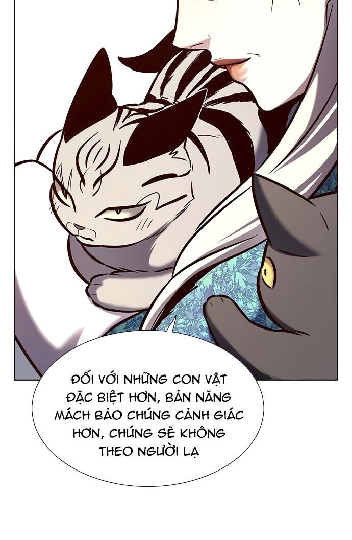 Hoá Thân Thành Mèo: Chapter 188