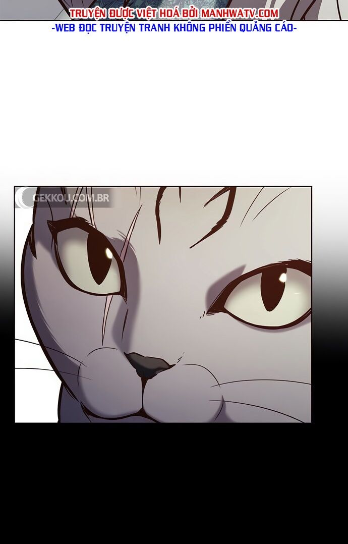 Hoá Thân Thành Mèo: Chapter 188