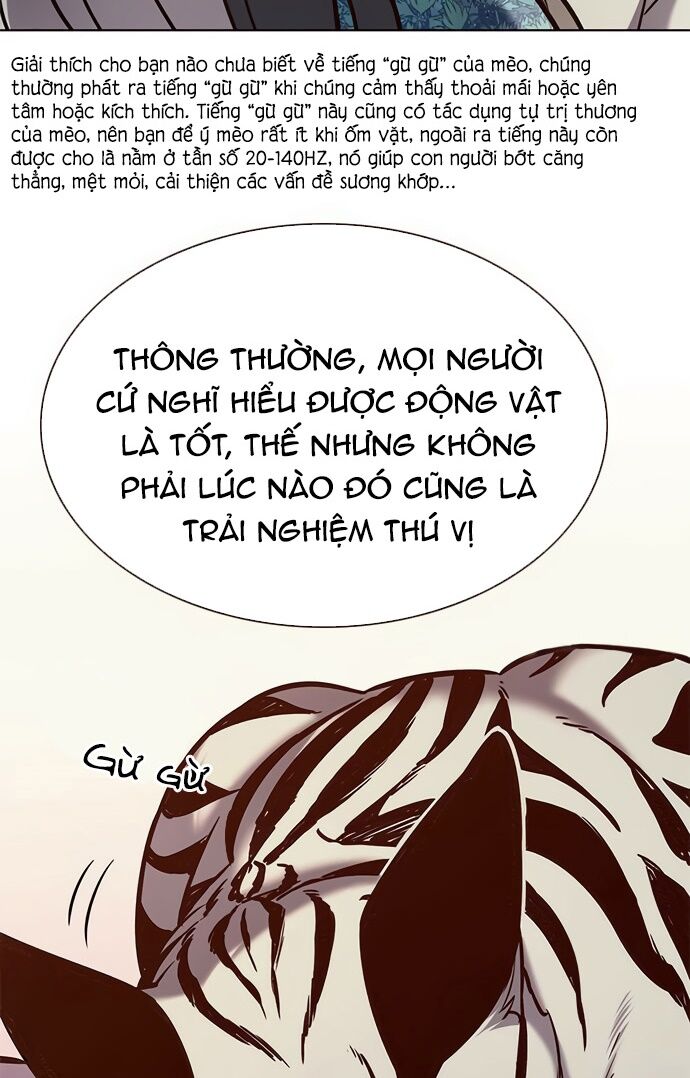 Hoá Thân Thành Mèo: Chapter 188
