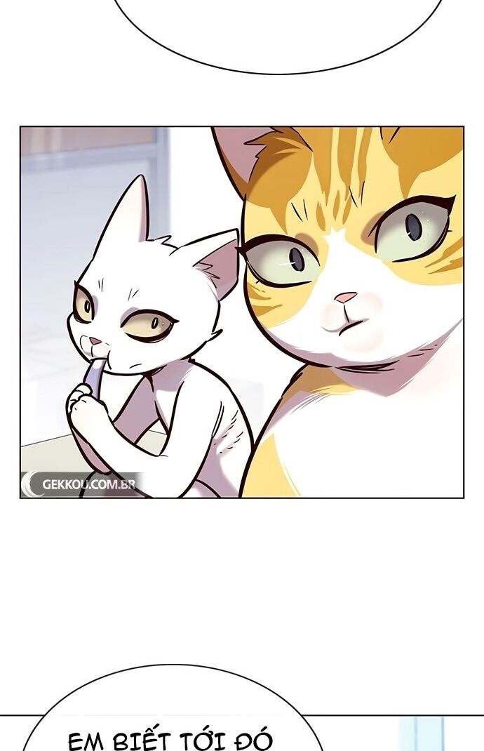 Hoá Thân Thành Mèo: Chapter 189