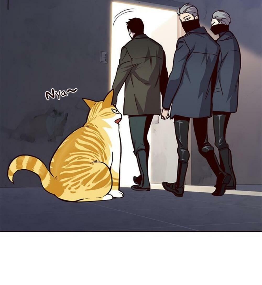 Hoá Thân Thành Mèo: Chapter 19