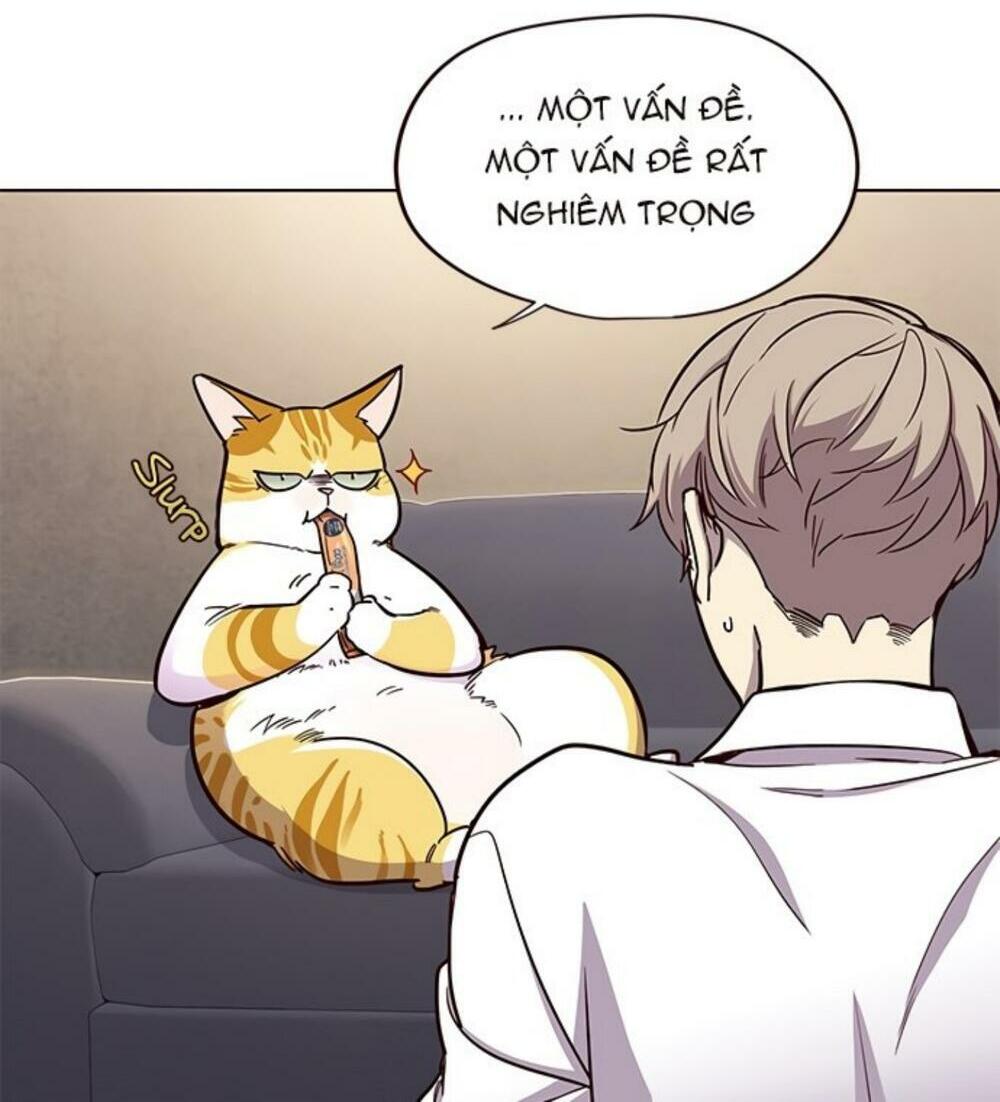 Hoá Thân Thành Mèo: Chapter 19
