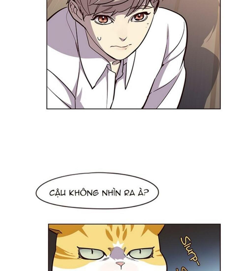 Hoá Thân Thành Mèo: Chapter 19