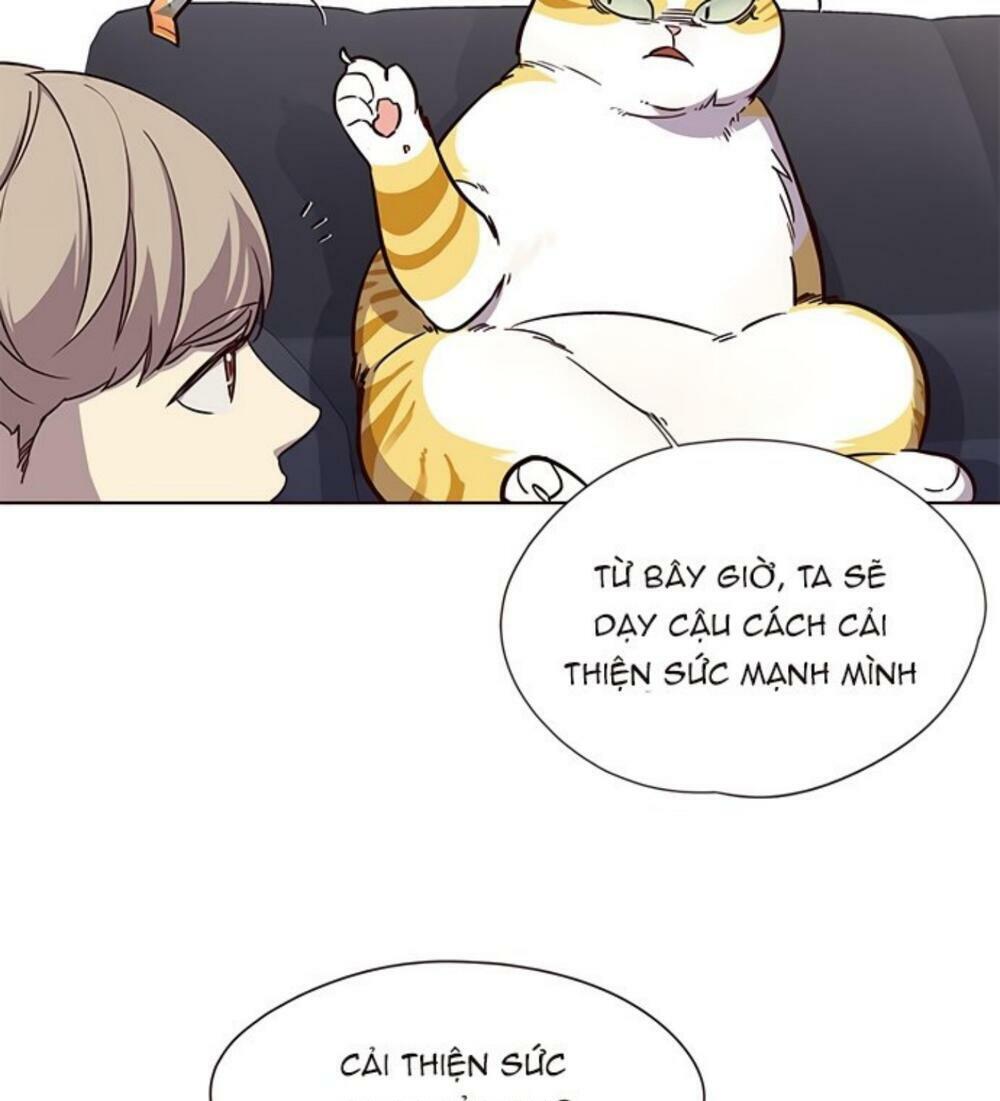 Hoá Thân Thành Mèo: Chapter 19