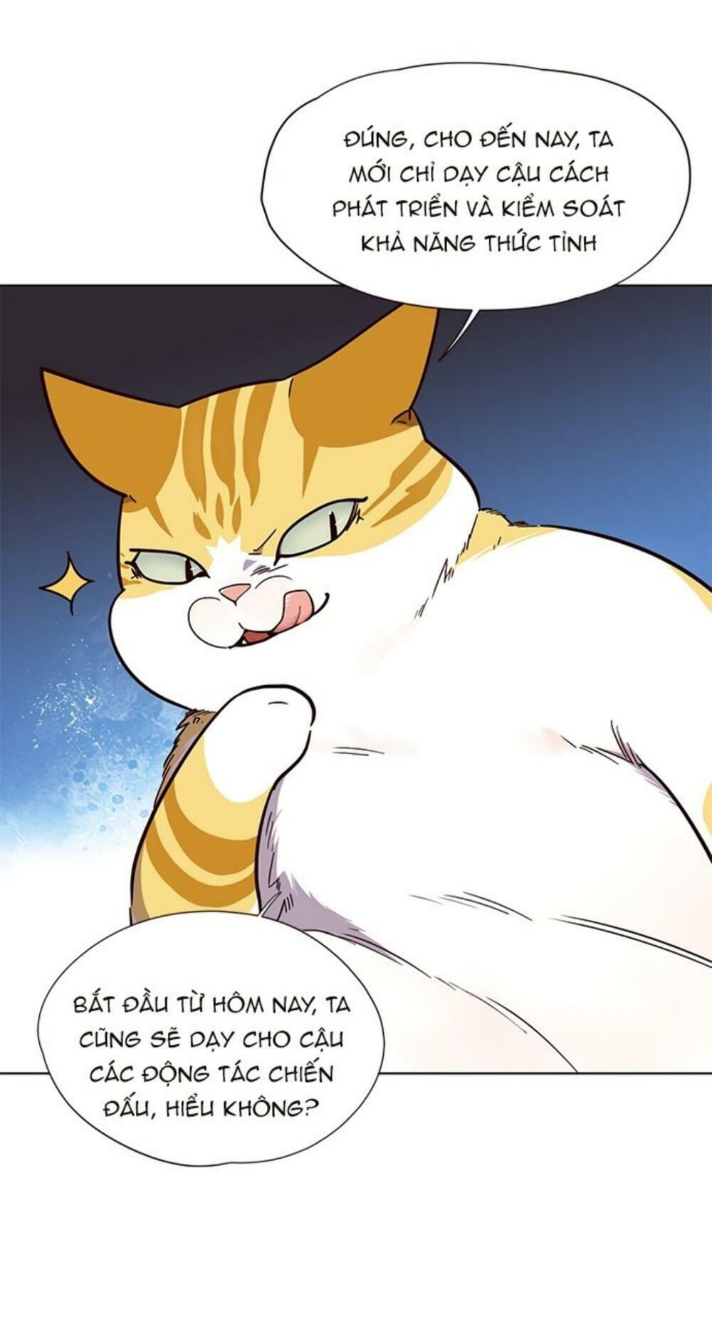 Hoá Thân Thành Mèo: Chapter 19