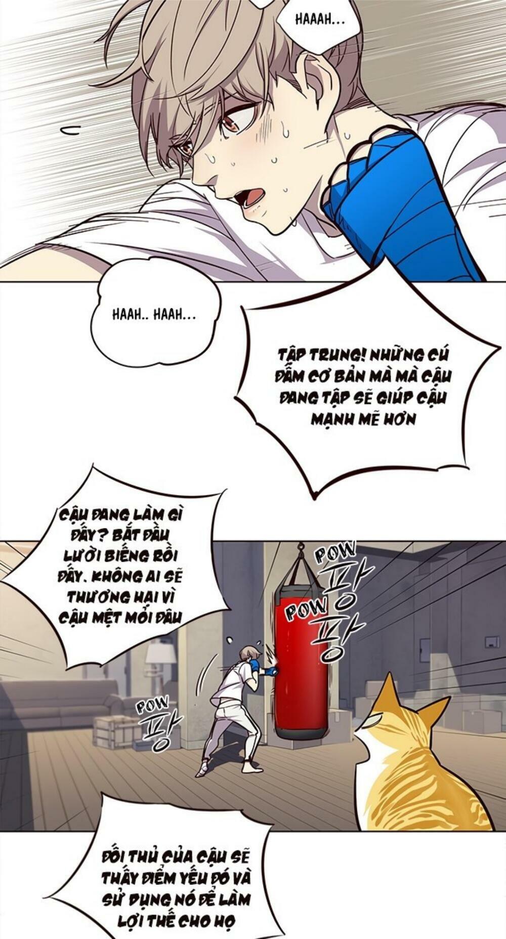 Hoá Thân Thành Mèo: Chapter 19