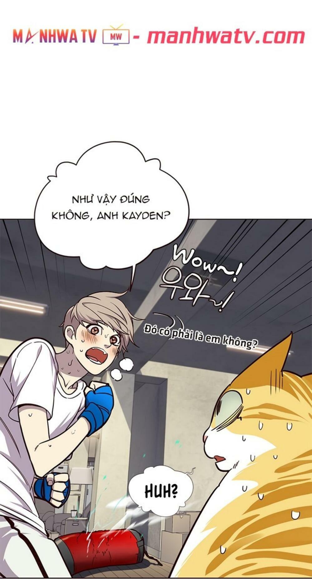 Hoá Thân Thành Mèo: Chapter 19