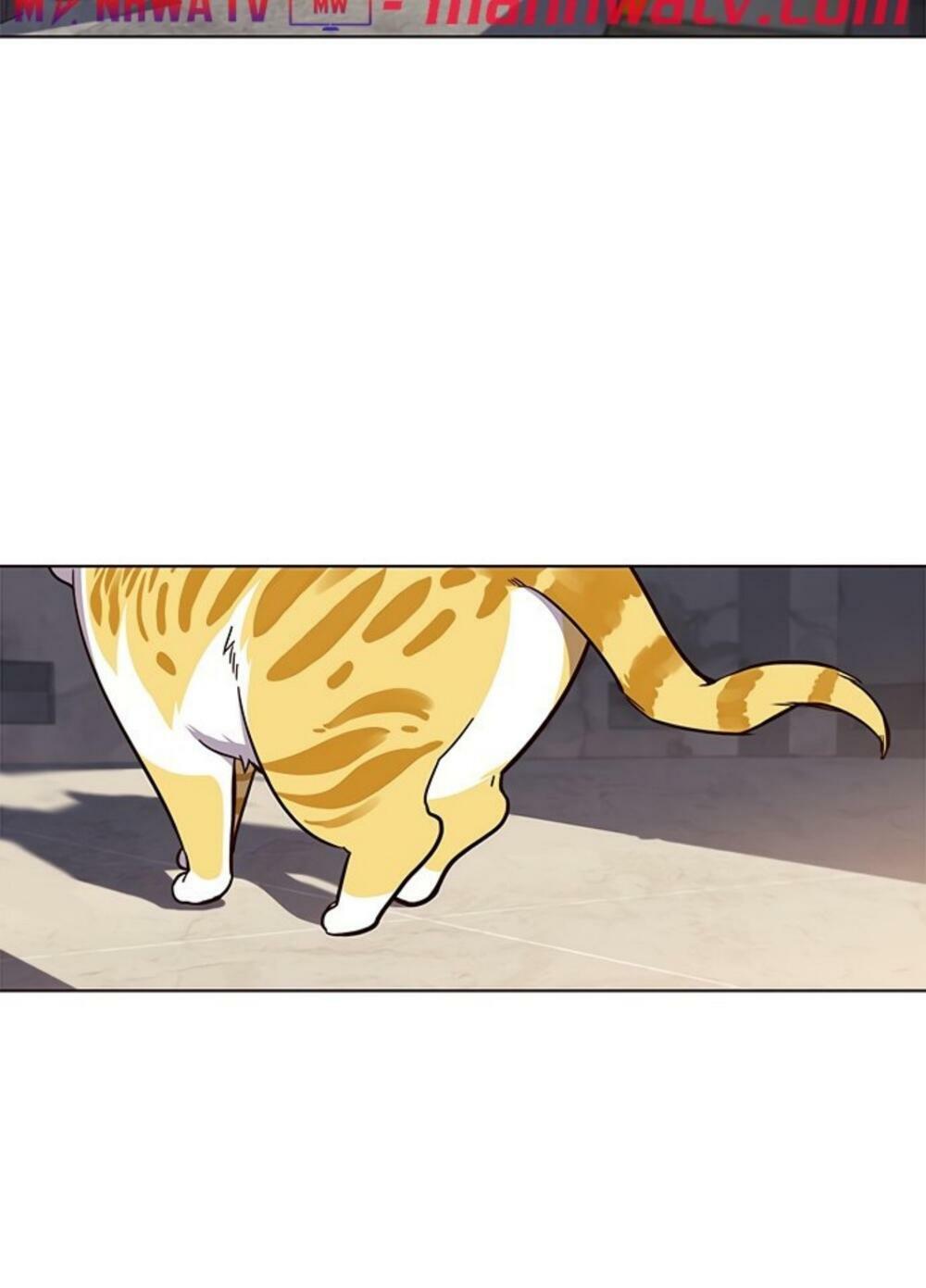 Hoá Thân Thành Mèo: Chapter 19