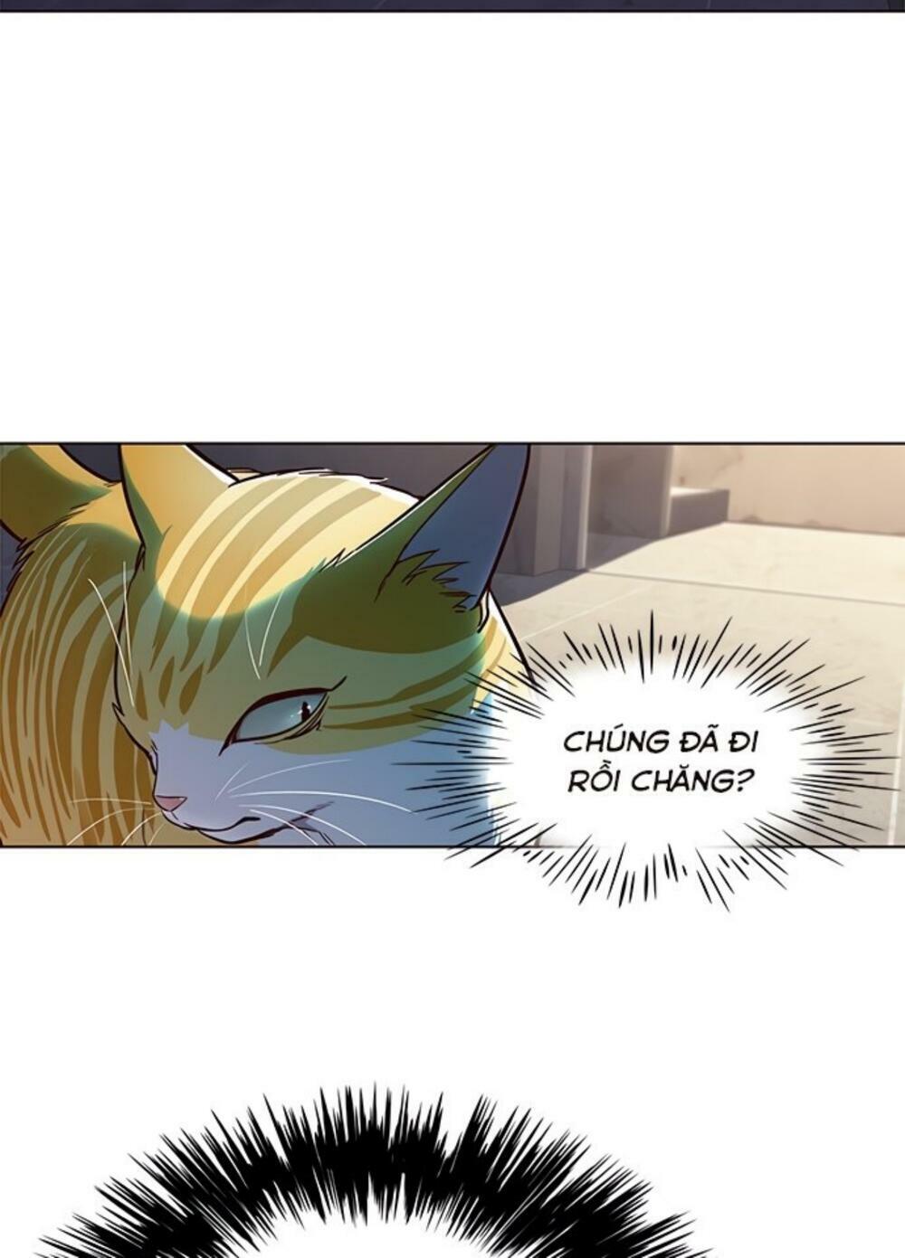Hoá Thân Thành Mèo: Chapter 19