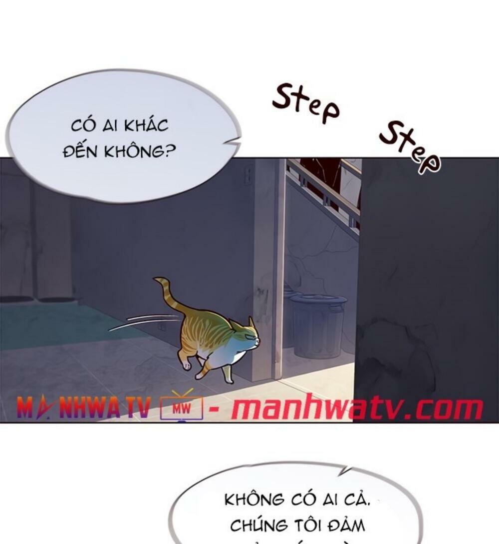 Hoá Thân Thành Mèo: Chapter 19